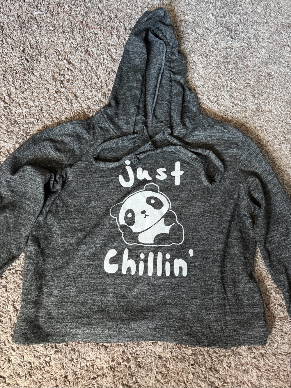 Just Chillin' Panda Graphic Hoodie - Charcoal